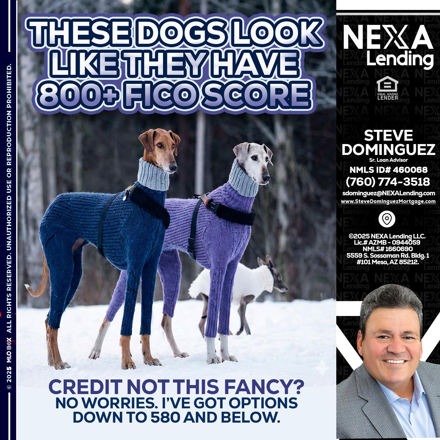 THESE DOGS LOOK - Steve Dominguez -Senior Loan Advisor